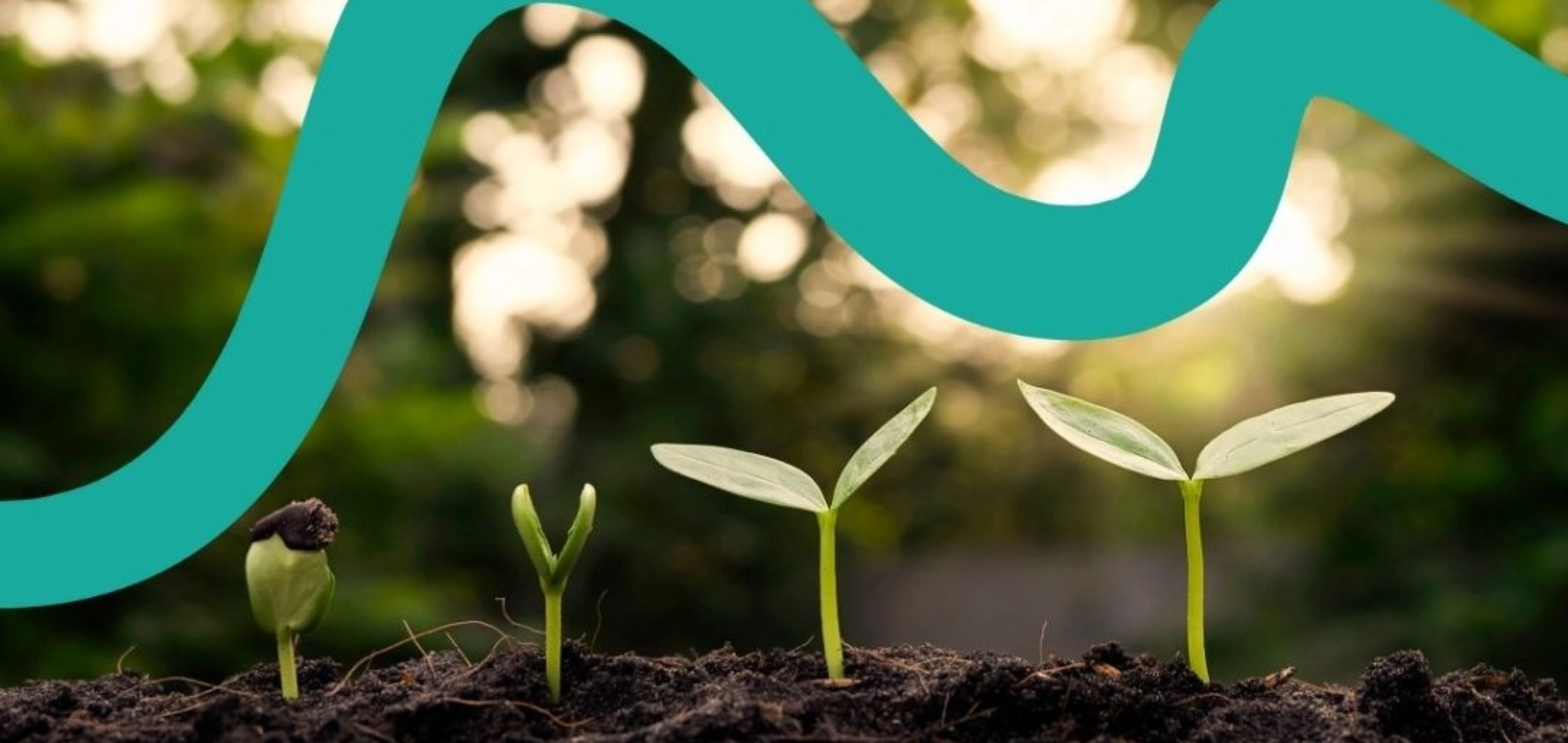 Plano Social para o Clima
