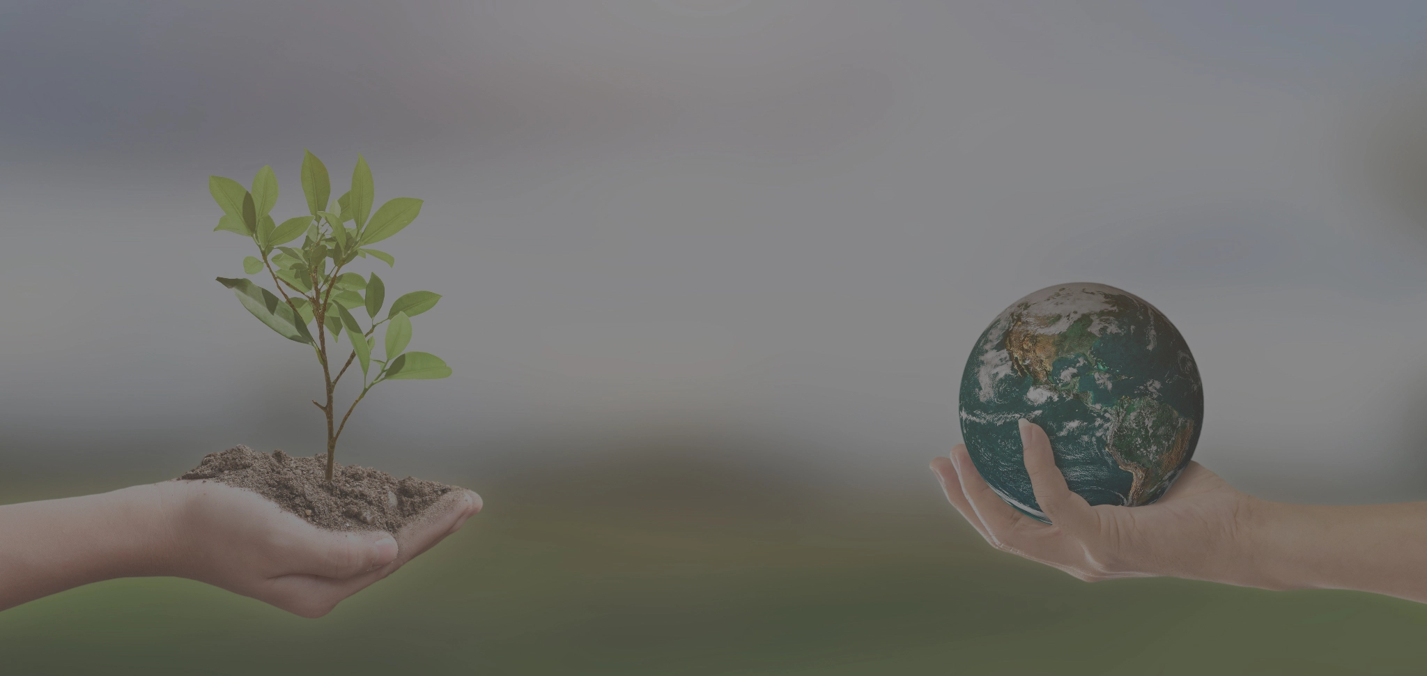 Recorde no consumo global em 2022 de energia eólica e solar
