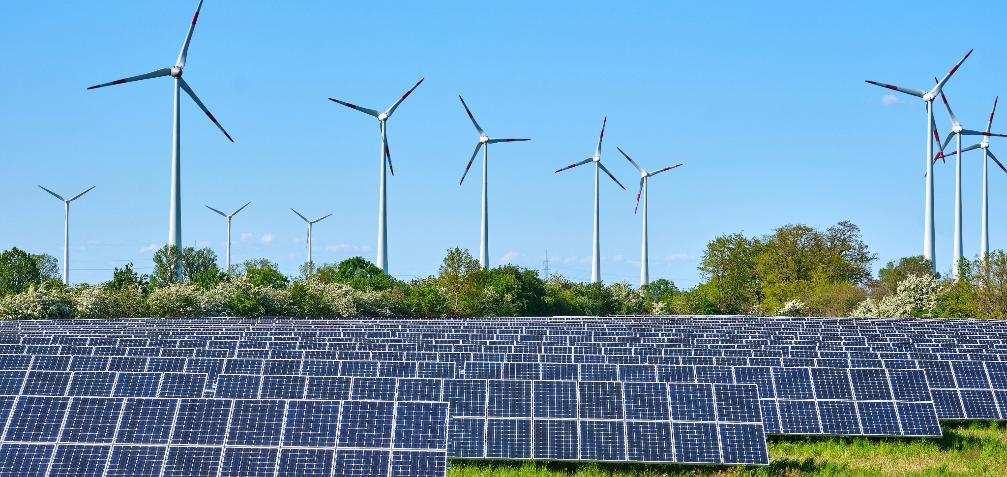 Novo recorde na produção de energia renovável em Portugal
